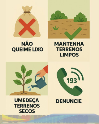 queimadas