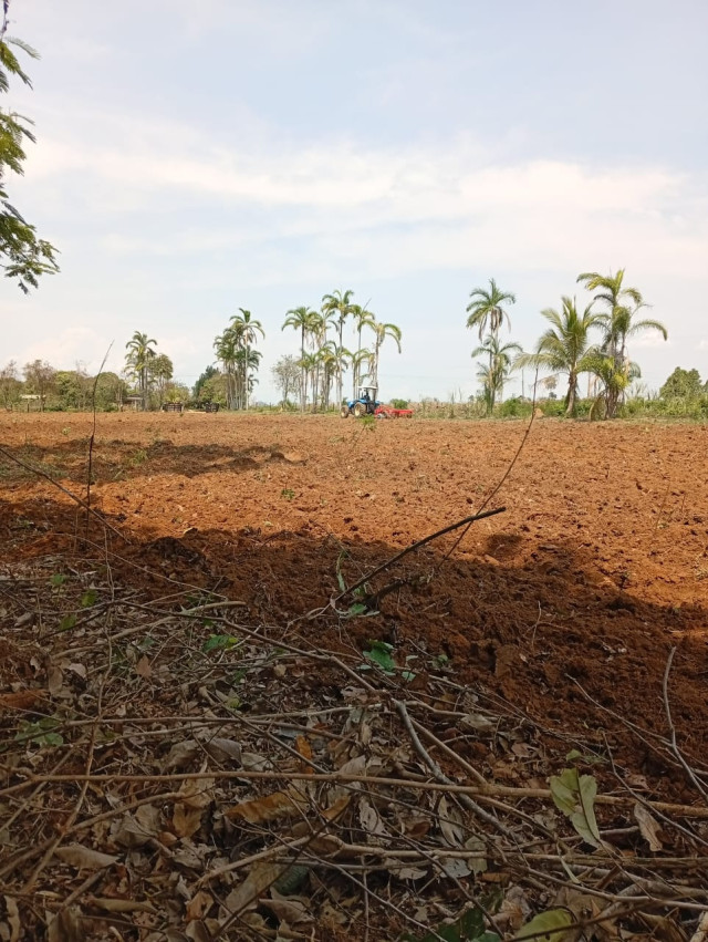 Fortalecendo o Campo: Secretaria de Agricultura apoia produtores com serviços de gradiamento